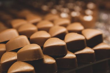 bir sürü değişik çikolatalı pralin