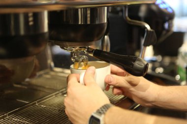 Kahve odasında kahve hazırlayan barista.