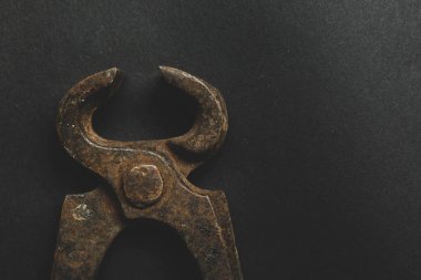 Bir çift paslı meme ucu.