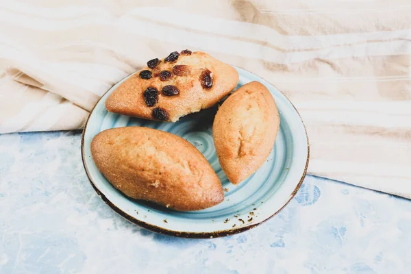 Galletas Con Chispas Chocolate Negro —  Fotos de Stock