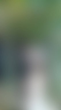 Bulanık arkaplan dokusu