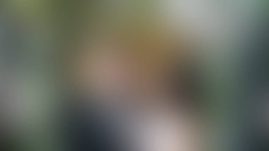 Bulanık arkaplan dokusu