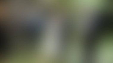 Bulanık arkaplan dokusu