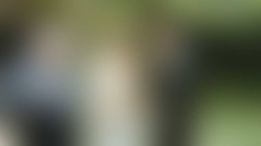 Bulanık arkaplan dokusu