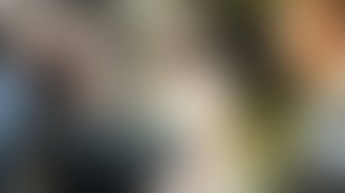 Bulanık arkaplan dokusu