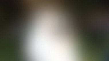 Bulanık arkaplan dokusu