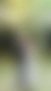 Bulanık arkaplan dokusu