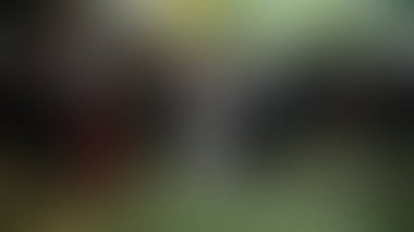 Bulanık arkaplan dokusu