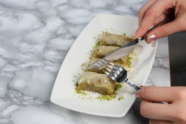 Geleneksel hindistancevizli tatlı baklavası. Ev yapımı fındıklı ve ballı baklava..