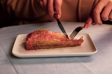 Geleneksel hindistancevizli tatlı baklavası. Ev yapımı fındıklı ve ballı baklava..