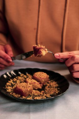 Geleneksel hindistancevizli tatlı baklavası. Ev yapımı fındıklı ve ballı baklava..