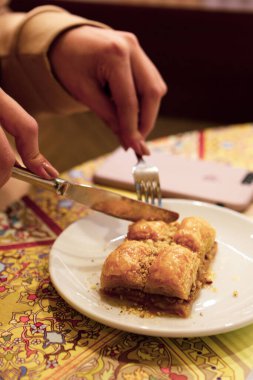 Geleneksel hindistancevizli tatlı baklavası. Ev yapımı fındıklı ve ballı baklava..