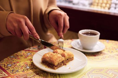 Geleneksel hindistancevizli tatlı baklavası. Ev yapımı fındıklı ve ballı baklava..