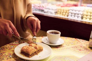 Geleneksel hindistancevizli tatlı baklavası. Ev yapımı fındıklı ve ballı baklava..