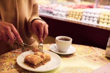 Geleneksel hindistancevizli tatlı baklavası. Ev yapımı fındıklı ve ballı baklava..