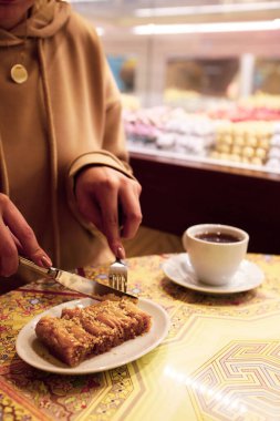 Geleneksel hindistancevizli tatlı baklavası. Ev yapımı fındıklı ve ballı baklava..
