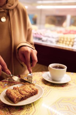 Geleneksel hindistancevizli tatlı baklavası. Ev yapımı fındıklı ve ballı baklava..
