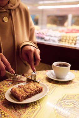 Geleneksel hindistancevizli tatlı baklavası. Ev yapımı fındıklı ve ballı baklava..