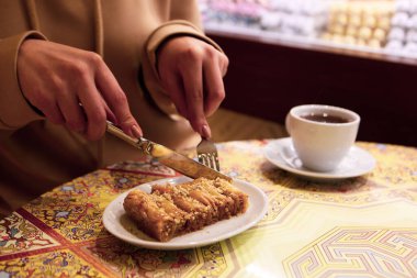 Geleneksel hindistancevizli tatlı baklavası. Ev yapımı fındıklı ve ballı baklava..