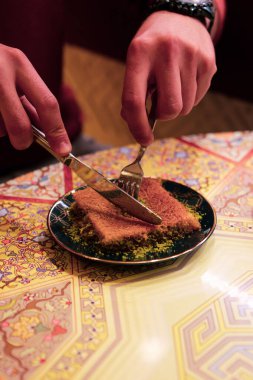 Geleneksel hindistancevizli tatlı baklavası. Ev yapımı fındıklı ve ballı baklava..