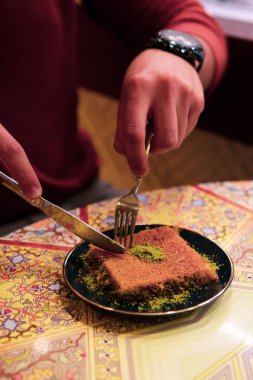 Geleneksel hindistancevizli tatlı baklavası. Ev yapımı fındıklı ve ballı baklava..