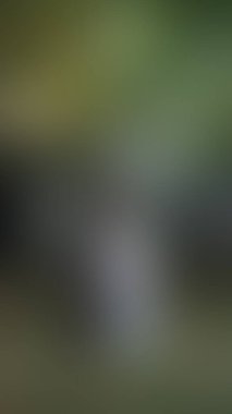 Bulanık arkaplan dokusu tasarımı 