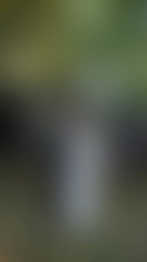 Bulanık arkaplan dokusu tasarımı 