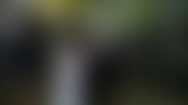 Bulanık arkaplan dokusu tasarımı 