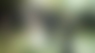 Bulanık arkaplan dokusu temasıName