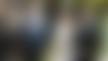 Bulanık arkaplan dokusu temasıName