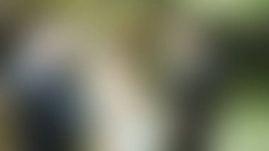 Bulanık arkaplan dokusu temasıName