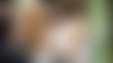 Bulanık arkaplan dokusu temasıName