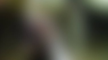 Bulanık arkaplan dokusu temasıName