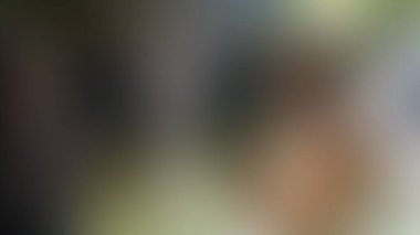 Bulanık arkaplan dokusu temasıName