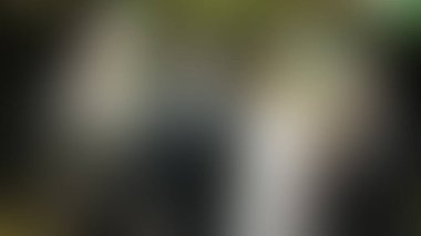 Bulanık arkaplan dokusu temasıName