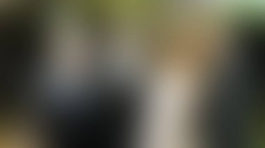 Bulanık arkaplan dokusu temasıName