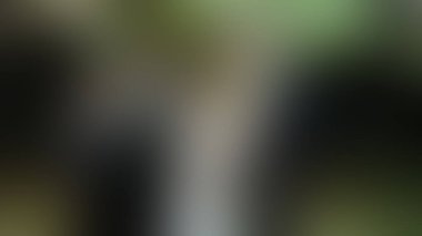 Bulanık arkaplan dokusu temasıName