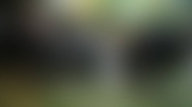 Bulanık arkaplan dokusu temasıName