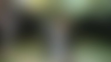 Bulanık arkaplan dokusu temasıName