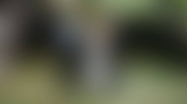 Bulanık arkaplan dokusu temasıName