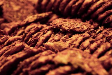 Bir grup çeşit kurabiye. Çikolata parçacıklı, yulaflı, kuru üzümlü, beyaz çikolatalı.