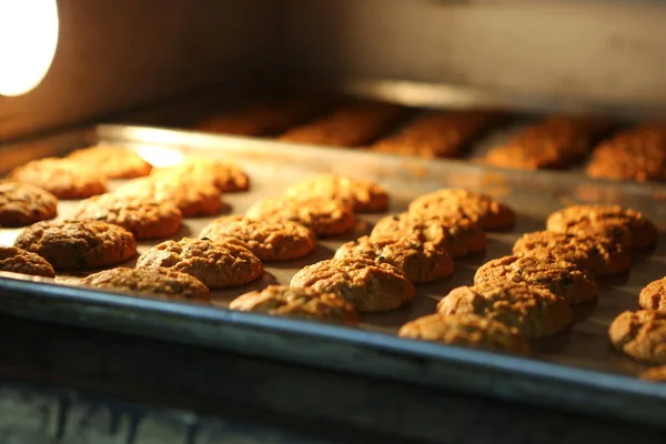 Gruppe Von Verschiedenen Cookies Schokochips Haferflocken Rosinen Weiße Schokolade — Stockfoto