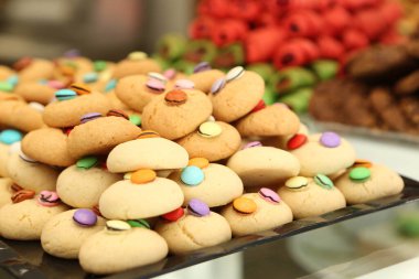 Bir grup çeşit kurabiye. Çikolata parçacıklı, yulaflı, kuru üzümlü, beyaz çikolatalı.