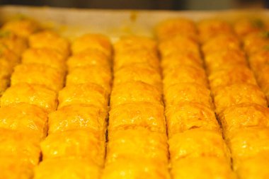 Geleneksel hindistancevizli tatlı baklavası. Ev yapımı fındıklı ve ballı baklava..