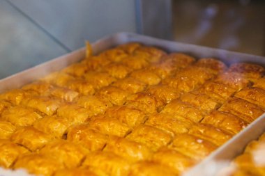 Geleneksel hindistancevizli tatlı baklavası. Ev yapımı fındıklı ve ballı baklava..