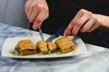 Geleneksel hindistancevizli tatlı baklavası. Ev yapımı fındıklı ve ballı baklava..
