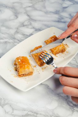 Geleneksel hindistancevizli tatlı baklavası. Ev yapımı fındıklı ve ballı baklava..