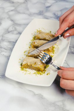 Geleneksel hindistancevizli tatlı baklavası. Ev yapımı fındıklı ve ballı baklava..