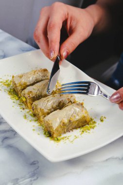 Geleneksel hindistancevizli tatlı baklavası. Ev yapımı fındıklı ve ballı baklava..