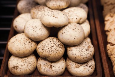 Bir grup çeşit kurabiye. Çikolata parçacıklı, yulaflı, kuru üzümlü, beyaz çikolatalı.